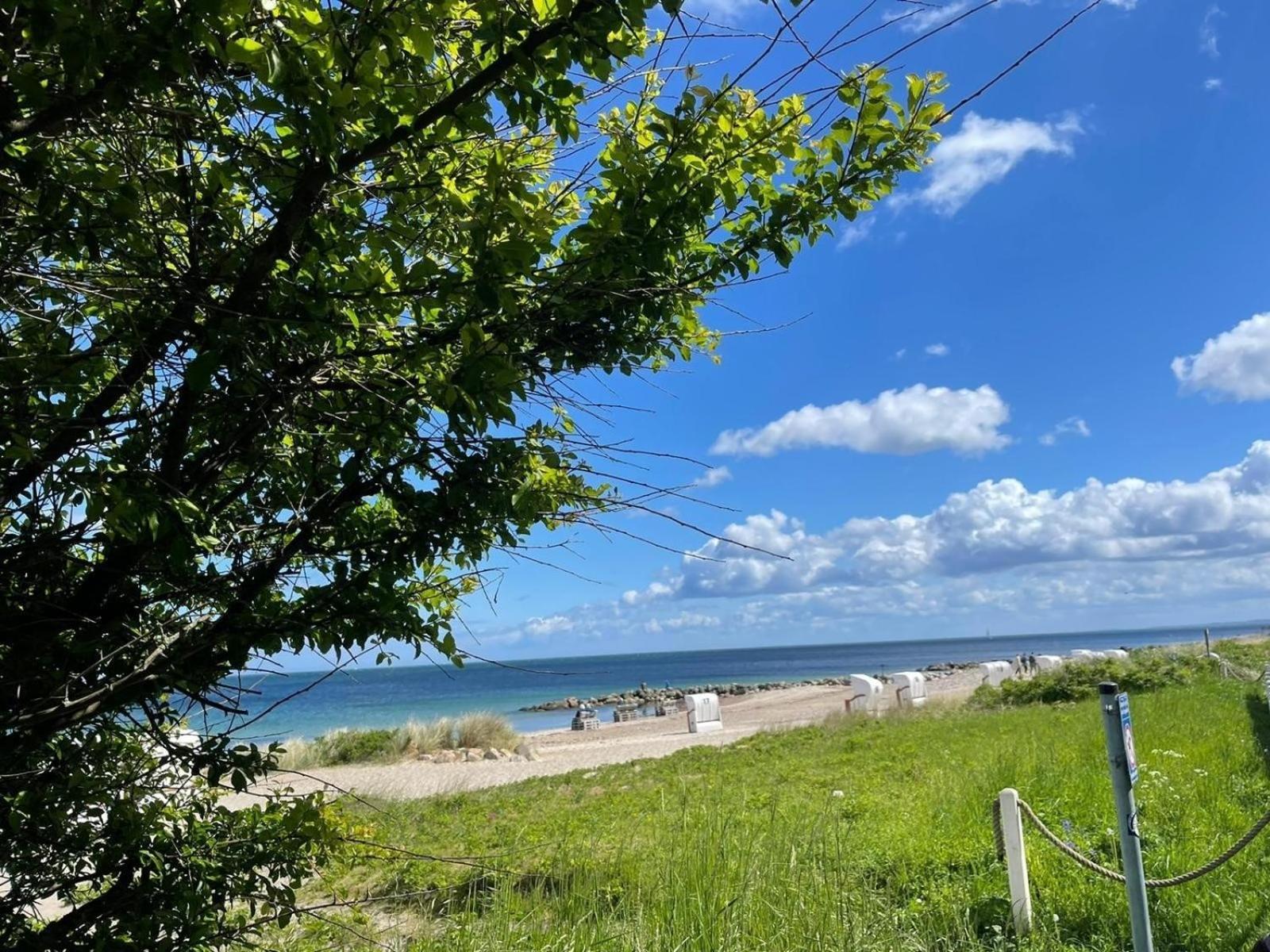 Ferien Am Strand, Urlaub An Der Ostsee Ferienwohnung Am Strand In Der Naehe Der Schlei, Umgebung Von Kappeln U Damp Brodersby-Goltoft Ngoại thất bức ảnh